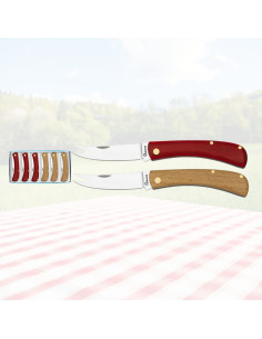 Set of 6 two-tone Albainox cheese knives - fork