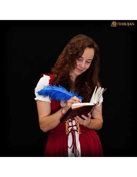 Medieval diary with leather cover...