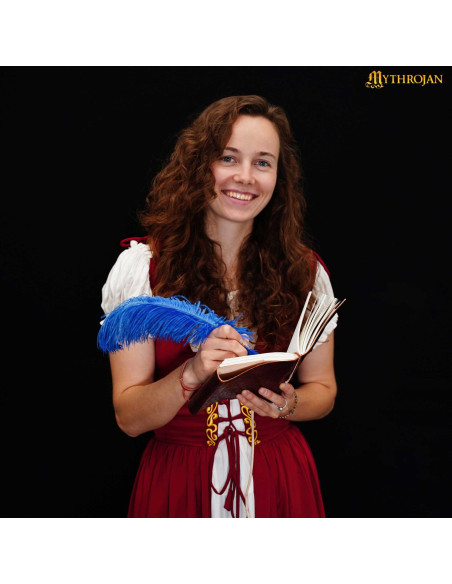 Medieval diary with leather cover...