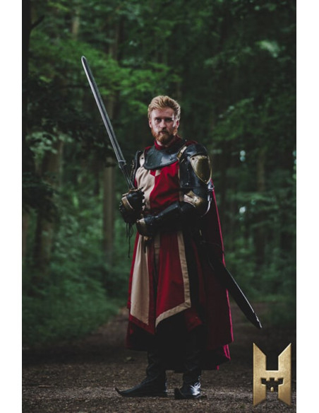 Long Imperial Sword with Gold Finish...