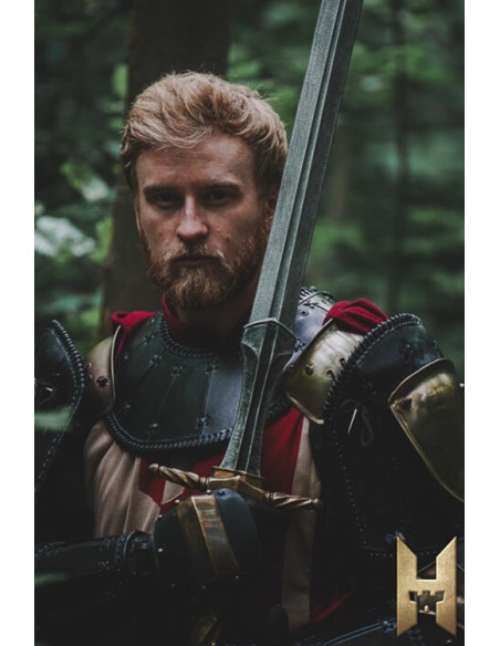 Long Imperial Sword with Gold Finish...