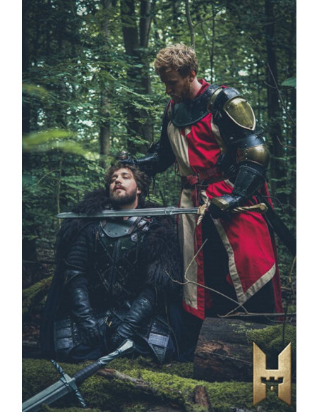 Long Imperial Sword with Gold Finish...