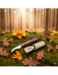 Albainox pocket knife set with brush, pliers, and whistle...