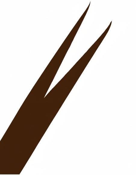 Galileo Medieval Belt - Dark Brown