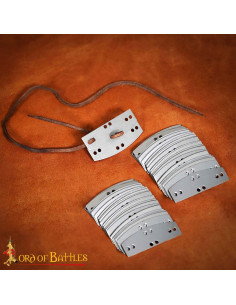Pack of 100 stainless steel plates for lamellar armor