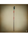 Halberd XVI century (205 cms.)
