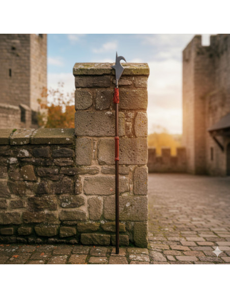 Halberd XVI century (205 cms.)