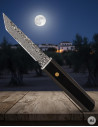 Adventure Knife Albainox Damascus Steel Tanto Blade (21.50 cm.)