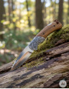 Albainox Collection Knife with Deer Bolster (21.5 cm.)