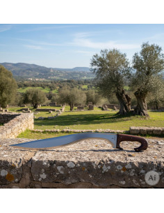 Functional Iberian falcata, blade 60 cm.