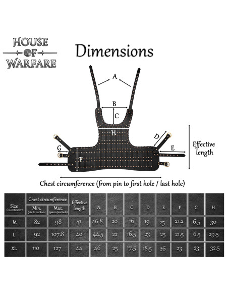 Medieval Leather Brigantine Model...
