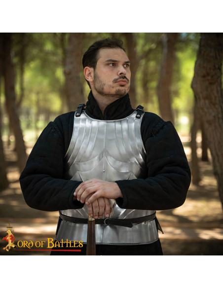 Medieval Gothic Breastplate from the...