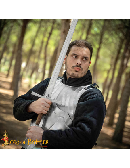 Medieval Gothic Breastplate from the...