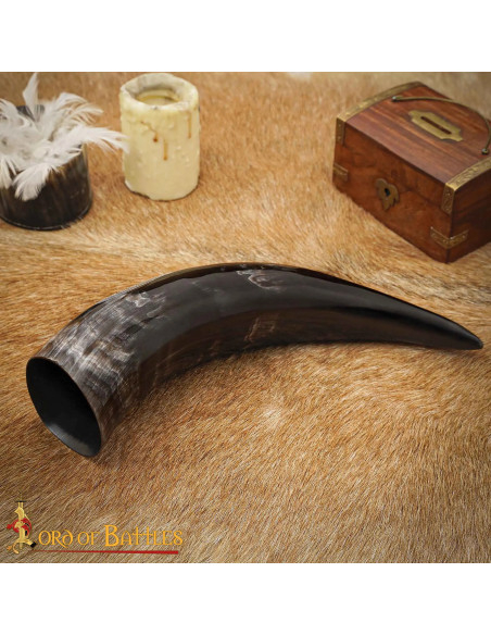 Viking Ship Horn for Drinking... Viking Ship Horn for Drinking...