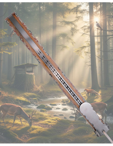 Third Mango Decorated Tortoise Shell...