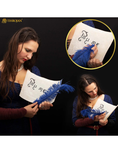 Medieval Parchment Sheet made of goat... Medieval Parchment Sheet made of goat...