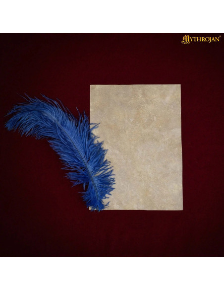 Medieval Parchment Sheet made of goat... Medieval Parchment Sheet made of goat...