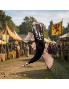 Viking drinking horn with Runa Vegvisir, brass details