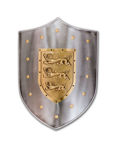 Lions metal shield