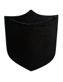 Guerrero medieval shield