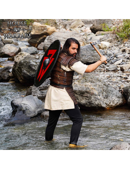 Round Viking Shield in Wood Model...