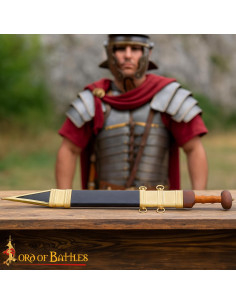 Hand-Forged Decorative Roman Gladius Pompeii with Scabbard 2