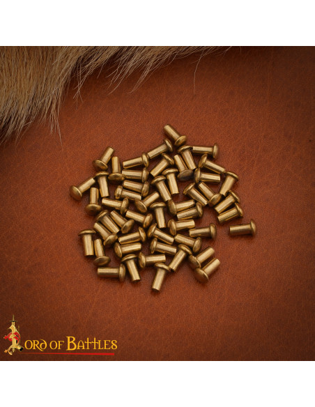 Set of 25 Brass Rivets with Mushroom...