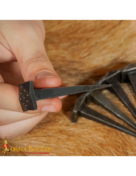 Set of 10 Hand-Forged Medieval Nails...