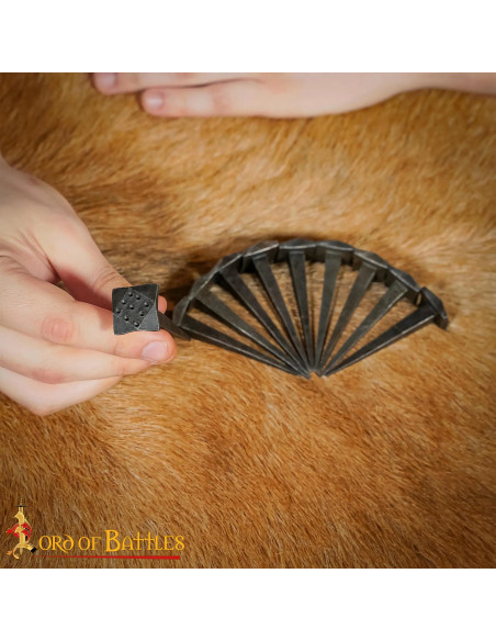 Set of 10 Hand-Forged Medieval Nails...