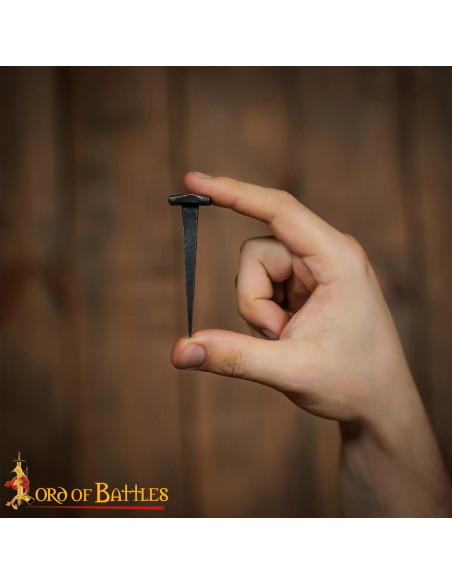 Set of 10 Hand-Forged Medieval Nails...