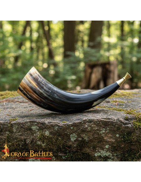 Viking Trumpet with Solid Brass...