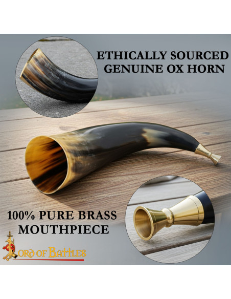 Viking Trumpet with Solid Brass...