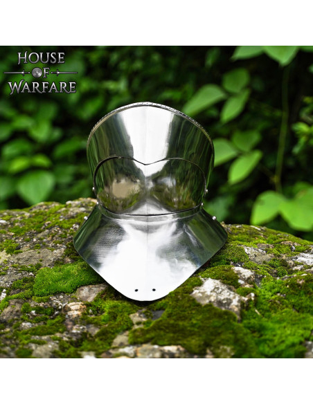 Authentic 15th Century Steel Gorget...