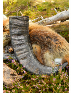 Buffalo Viking Horn for Historical Recreation