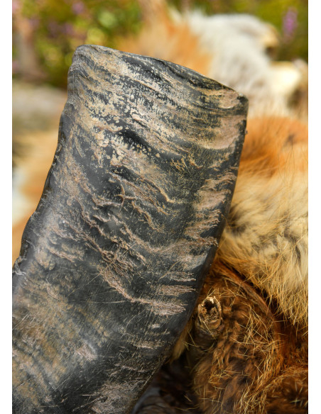 Viking Buffalo Horn for Historical...
