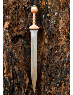 Dubravica Roman Gladius Sword with Scabbard (1st Century AD) 2