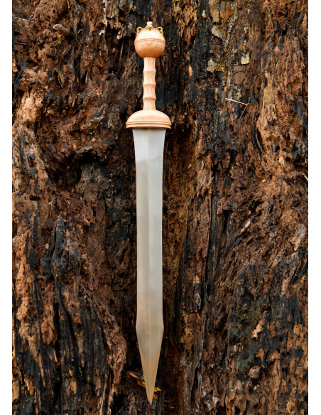 Dubravica Roman Gladius Sword with...