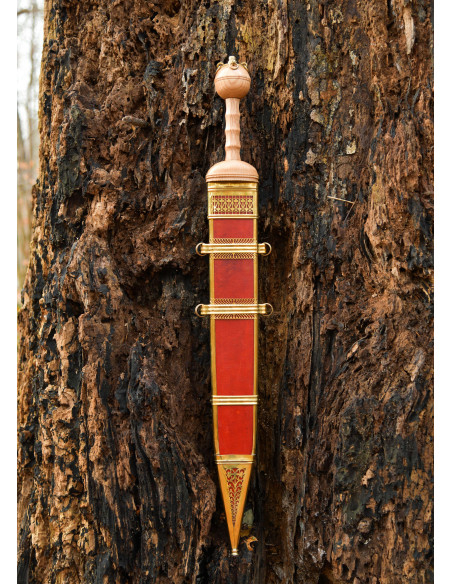 Dubravica Roman Gladius Sword with...