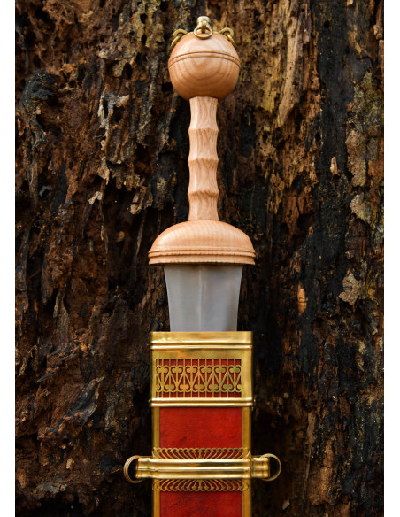 Dubravica Roman Gladius Sword with...