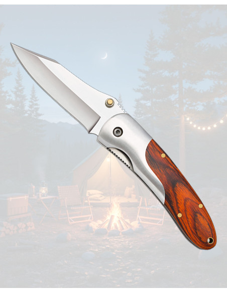 Albainox Folding Knife for Camping...