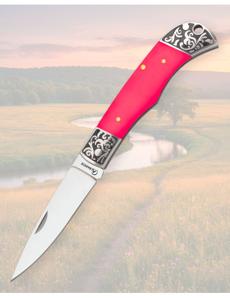 Albainox Pink Acrylic Knife with 8 cm...