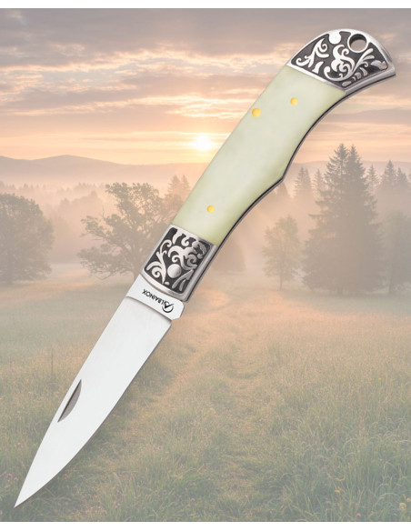 Albainox Folding Knife with 8 cm...