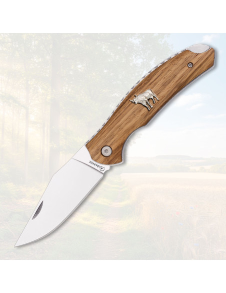 Albainox Folding Knife with Wooden...