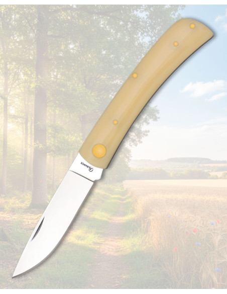 Albainox Outdoor Field Knife, Blade 7...