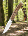 Hunting Knife with Stag Horn Handle