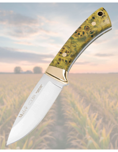 Muela Colibri Knife with Stabilized Wood Handles, Lime Color
