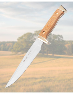 Muela Knife with Golden Zamak Handle and Beech Wood Scales