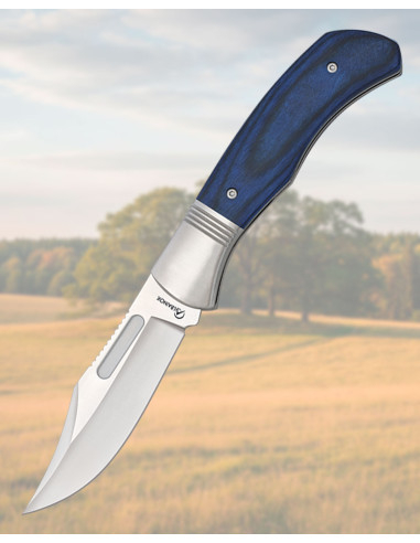 Albainox Stamina Blue Handle Folding Knife, 9 cm Blade, Stainless Steel
