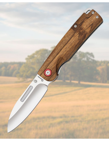 Albainox Knife with Zebra Wood Handle, 8.9 cm Blade