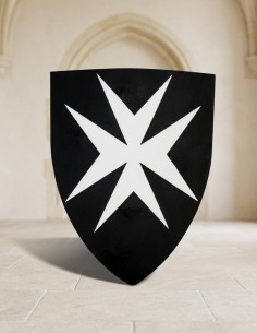 Functional Hospital Shield, 50x60 cms.